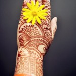 Henna Hand C